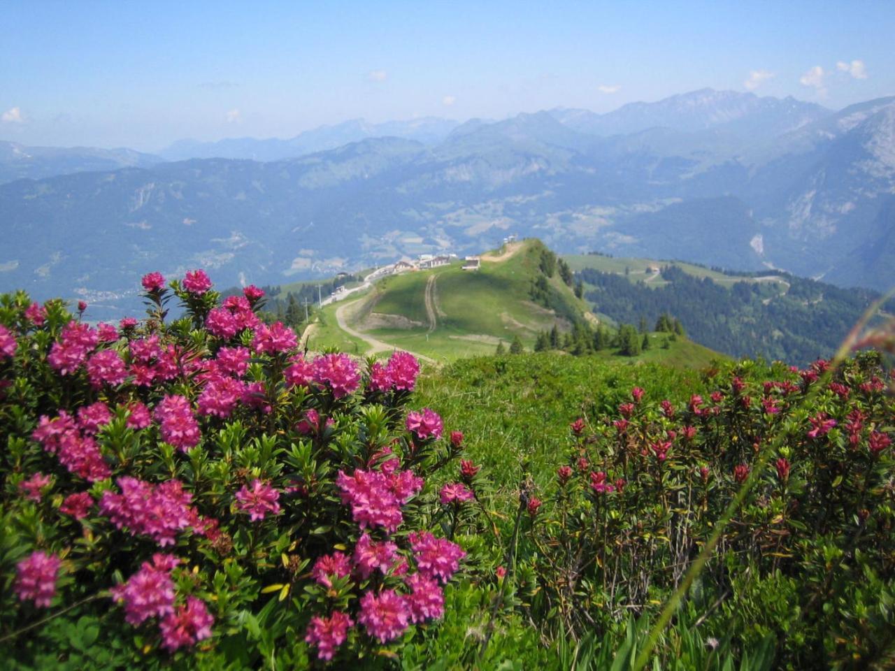 2 Bedroom 50m2 Modern And Well Equipt Samoëns